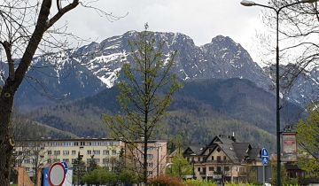 dom wolnostojący, 5 pokoi Zakopane Centrum