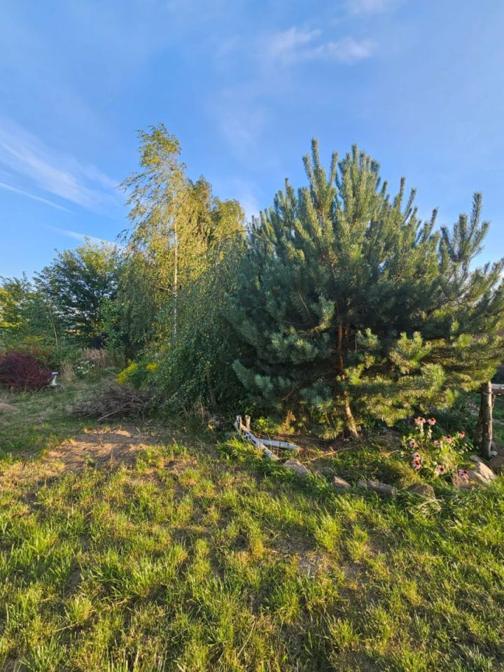 dom wolnostojący, 3 pokoje Babice. Zdjęcie 14