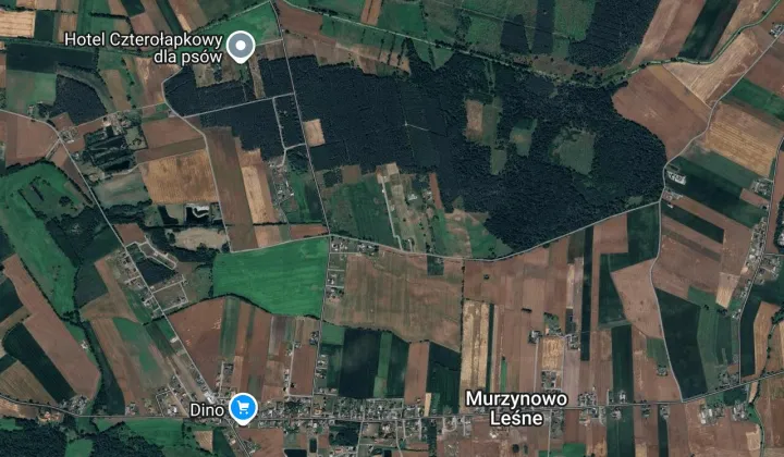 Działka budowlana Murzynowo Leśne, ul. Jagodowa