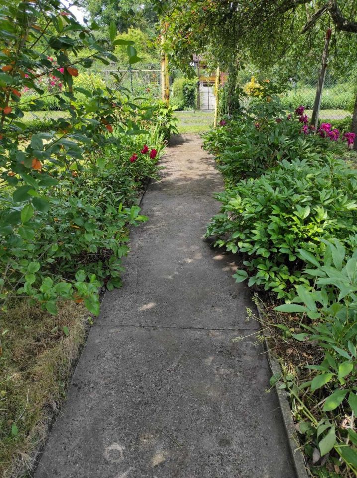 Działka rod Gliwice Trynek, ul. Stanisława Wyspiańskiego. Zdjęcie 3