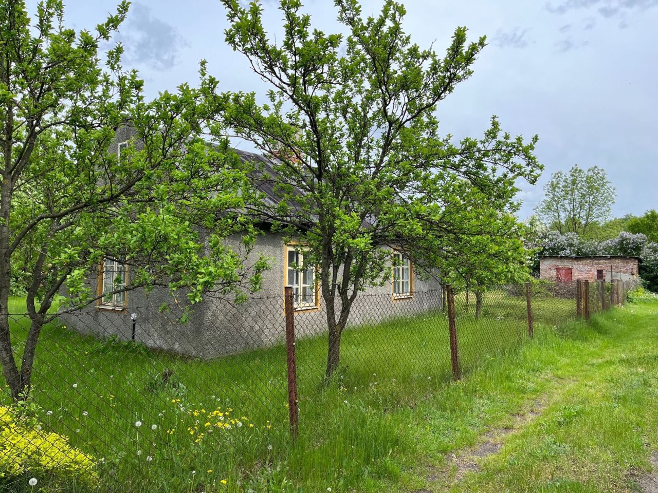 Działka budowlana Ciechanów, ul. Szczurzynek. Zdjęcie 5