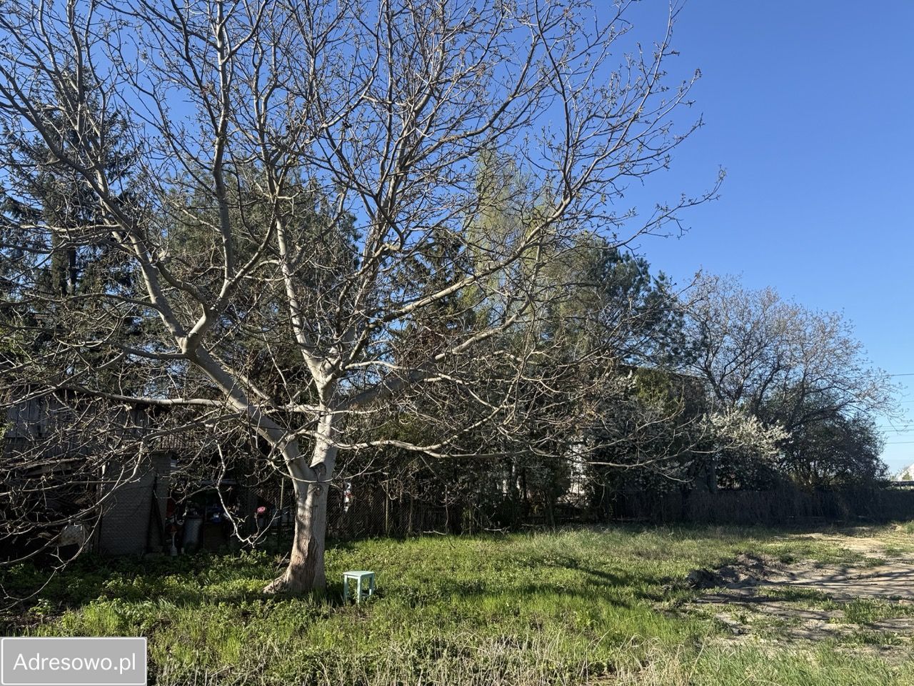 Działka budowlana Płochocin, ul. Warszawska. Zdjęcie 5