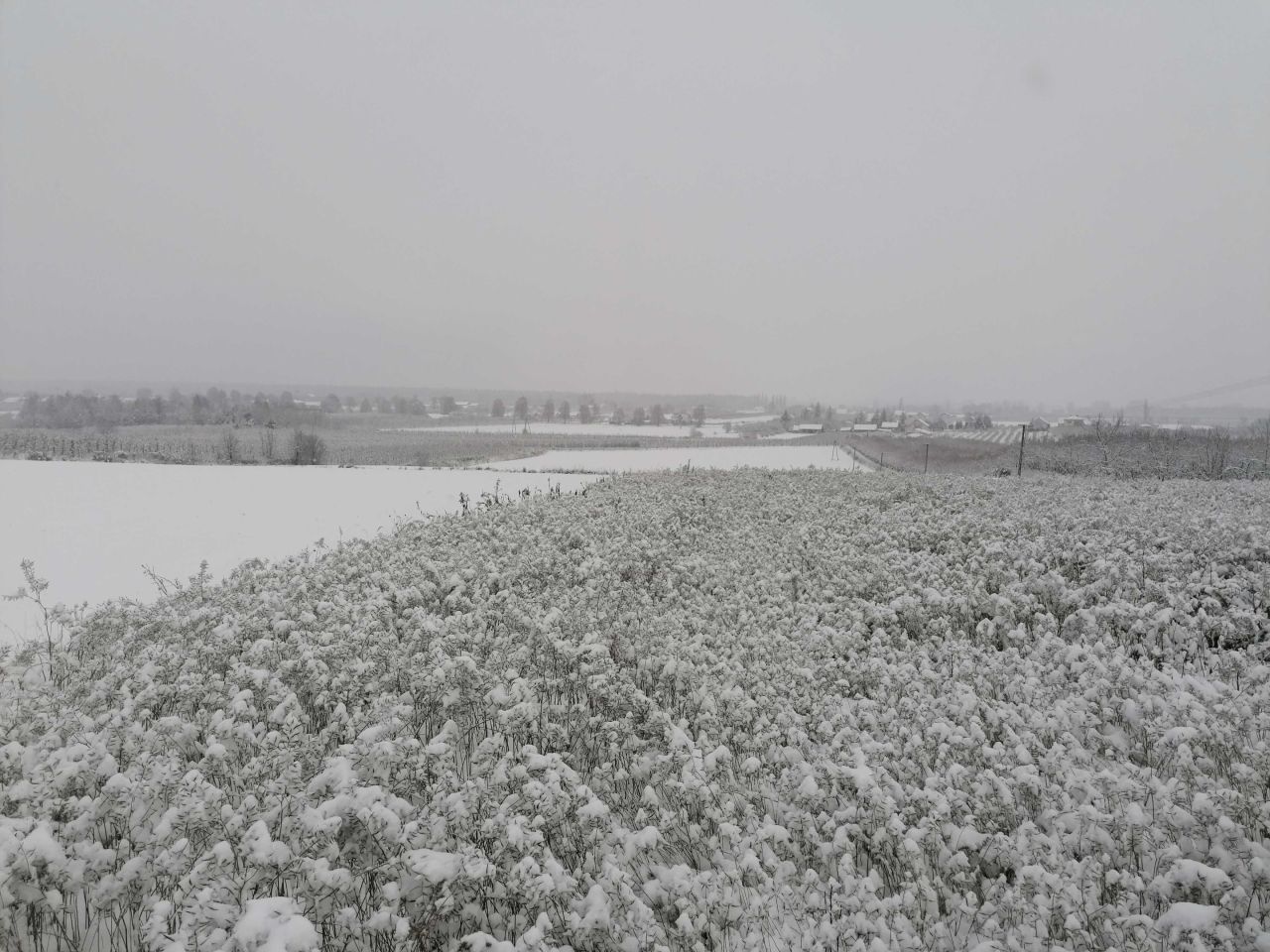dom wolnostojący, 3 pokoje Zawichost. Zdjęcie 3