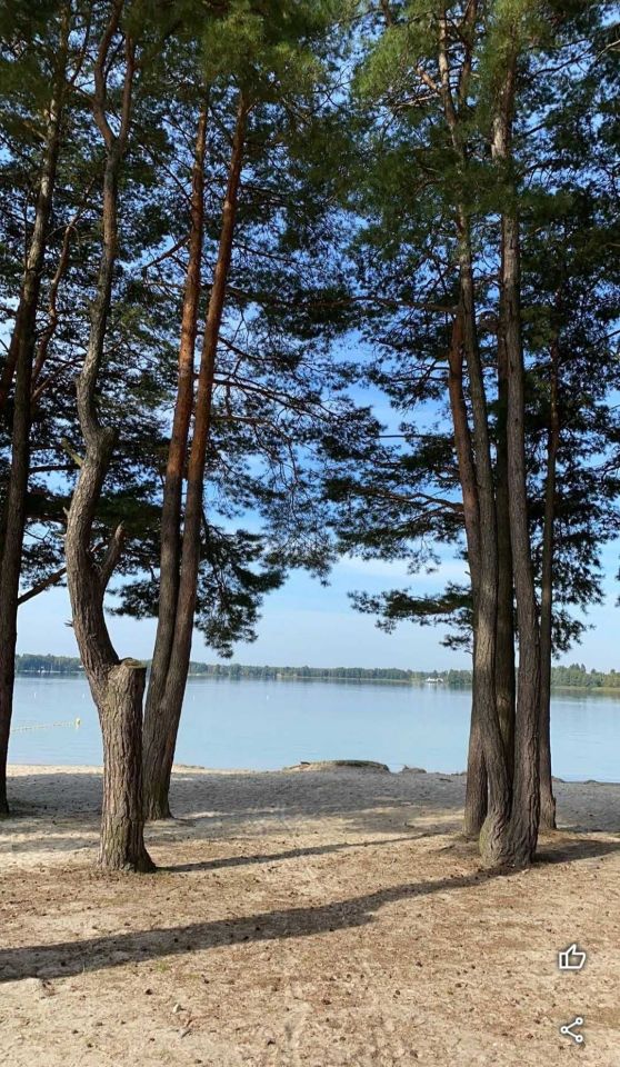 Działka budowlana Okuninka. Zdjęcie 5