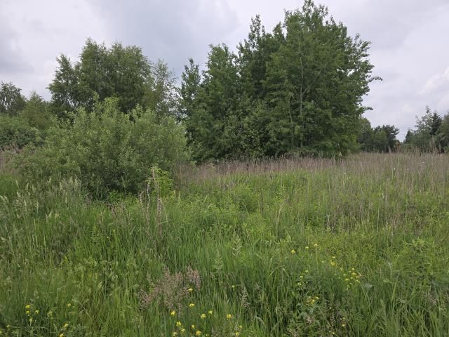 Działka budowlana Radzymin. Zdjęcie 2