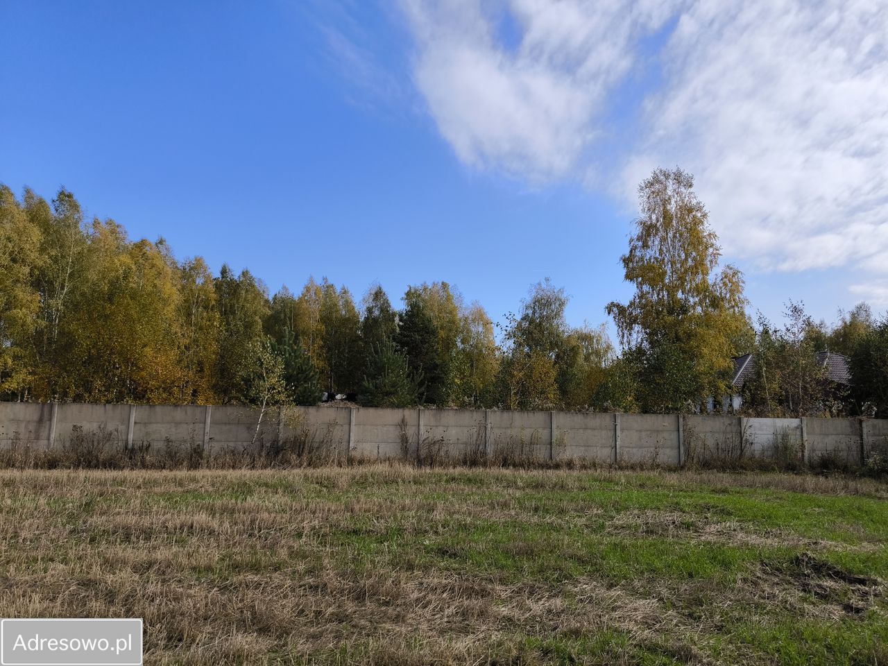 Działka budowlana Jastrzębnik, ul. Siewna