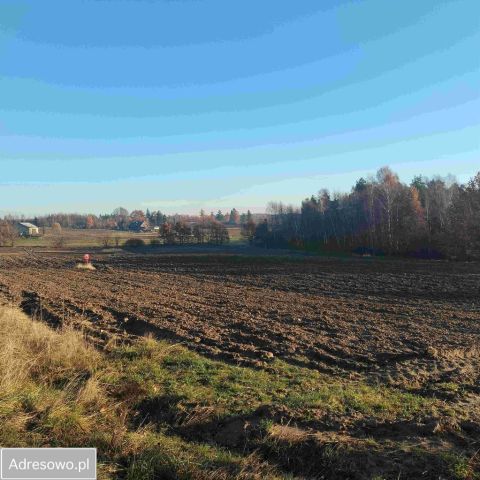 Działka budowlana Jeleńska Huta, ul. Kamieńska. Zdjęcie 1