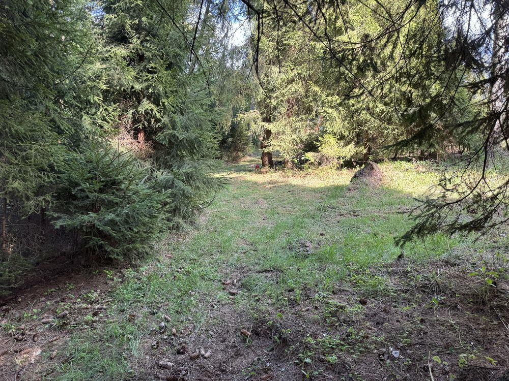 Działka rolna Pyzówka. Zdjęcie 2