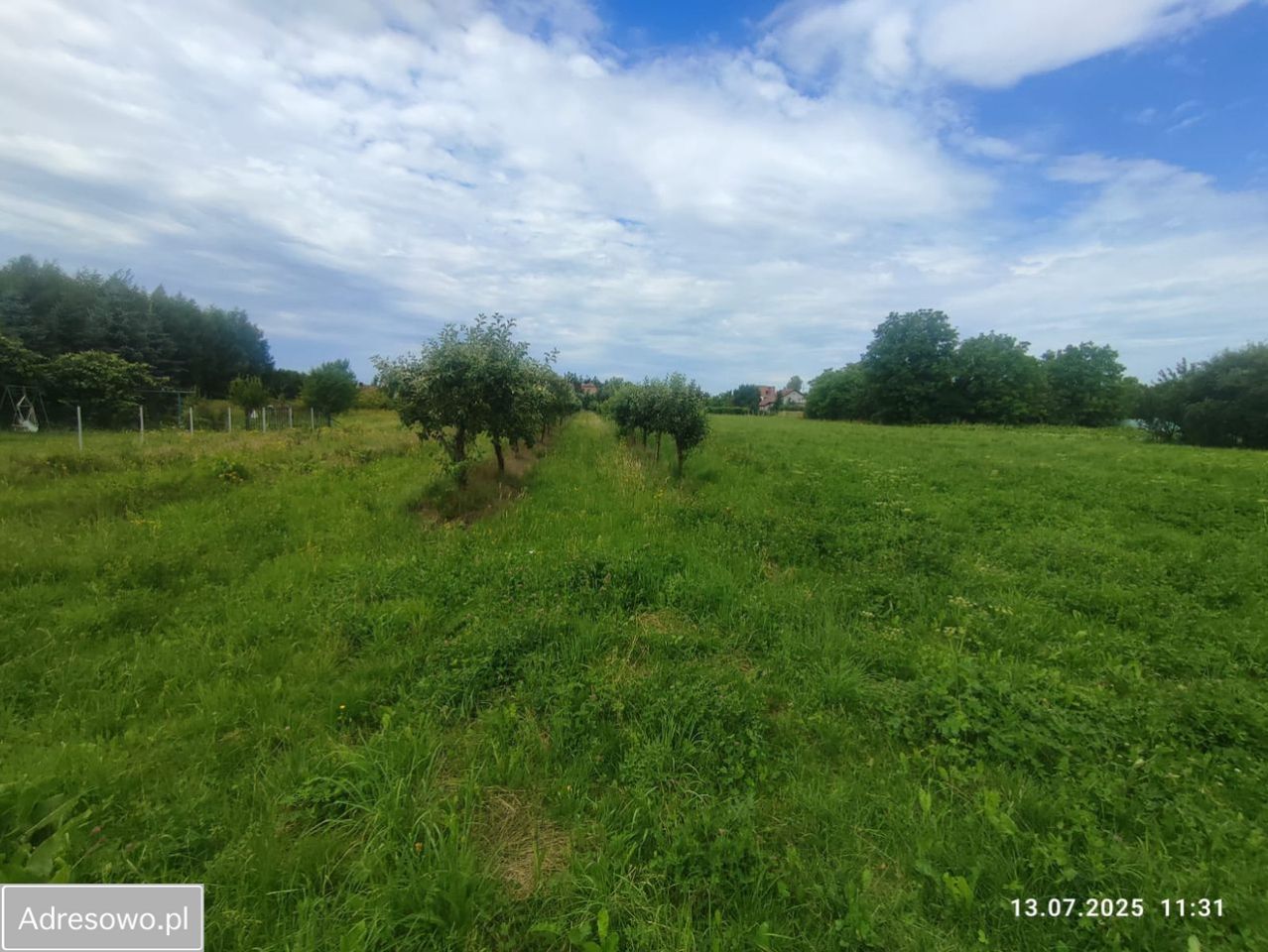 dom wolnostojący, 3 pokoje Bodzechów, ul. Żurawia. Zdjęcie 9