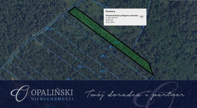 Działka leśna Radruż. Zdjęcie 1