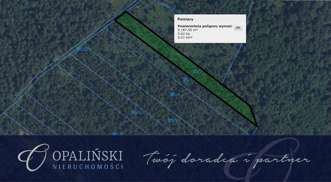 Działka leśna Radruż