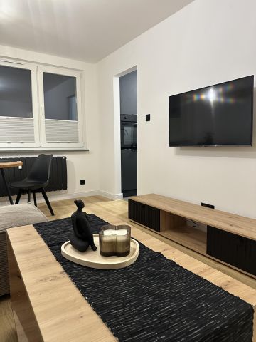 Mieszkanie 1-pokojowe Nowy Dwór Gdański Centrum, pl. Wolności. Zdjęcie 1