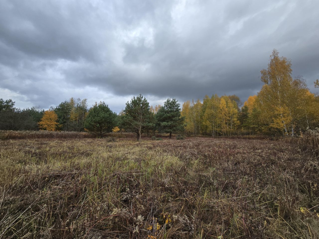 Działka budowlana Czarny Las. Zdjęcie 5