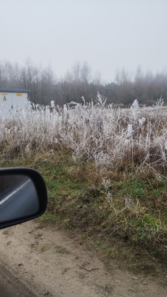 Działka budowlana Borek. Zdjęcie 5