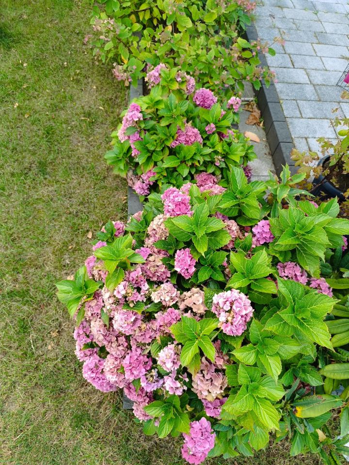 dom wolnostojący, 5 pokoi Byków, ul. Wiśniowa. Zdjęcie 6