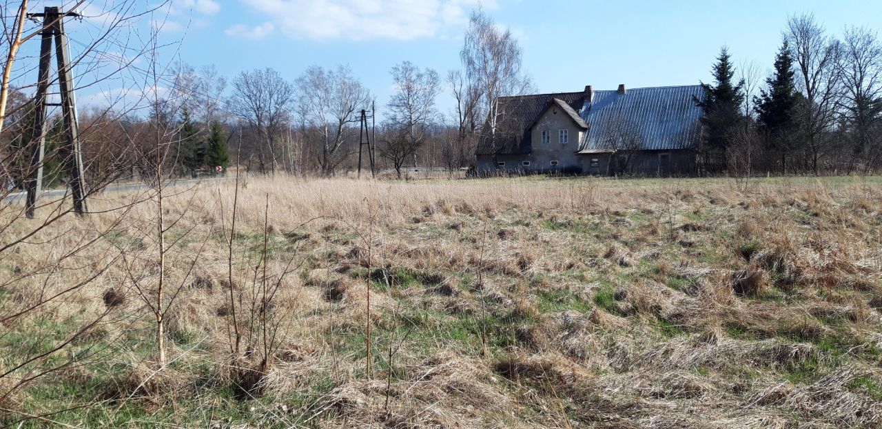 gospodarstwo, 9 pokoi Długopole Dolne. Zdjęcie 7