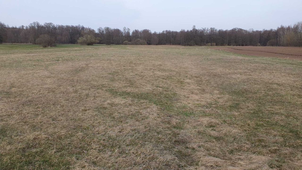 Działka rolna Królewo. Zdjęcie 4