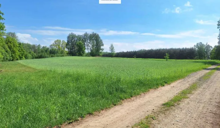 Działka budowlana Latowicz