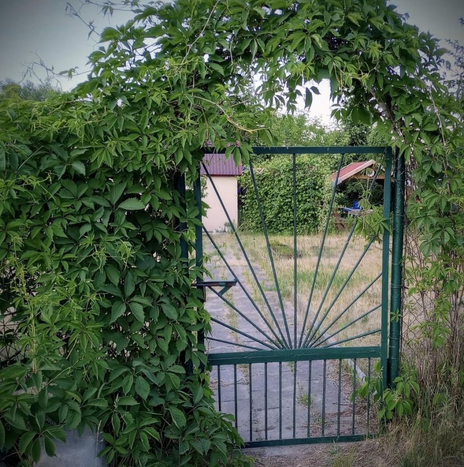 Działka rod Szczytno, ul. Solidarności. Zdjęcie 12