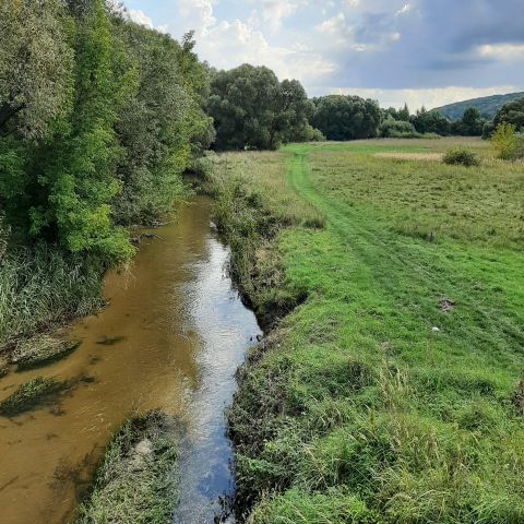 Działka rolno-budowlana Kielce Zalesie Pierwsze, ul. Zalesie. Zdjęcie 1