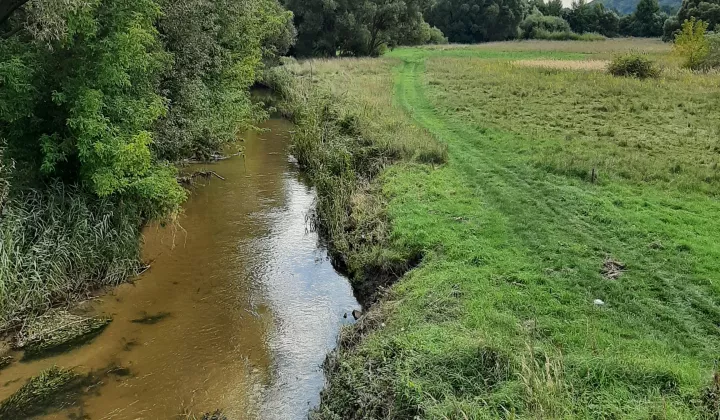 Działka rolno-budowlana Kielce Zalesie Pierwsze, ul. Zalesie