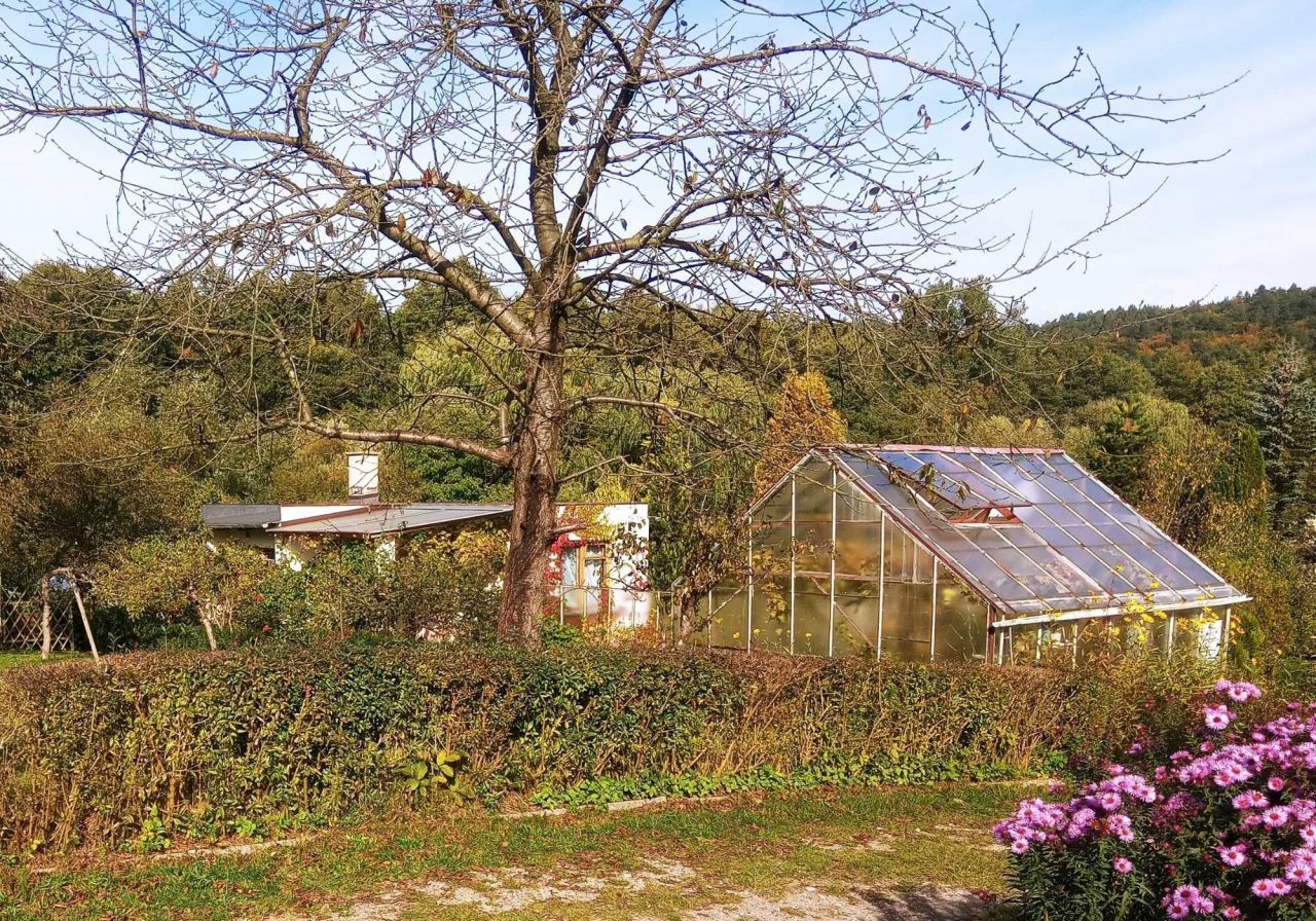 Działka rod Wejherowo, ul. Nadrzeczna. Zdjęcie 2