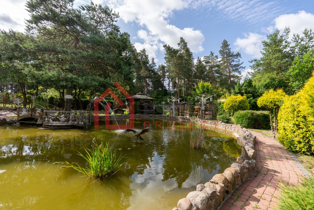 Działka inwestycyjna Borkowo. Zdjęcie 4