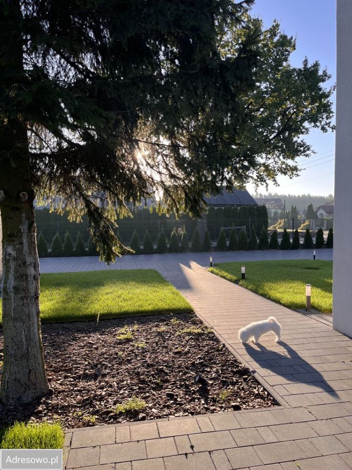 dom wolnostojący, 3 pokoje Kudrowice. Zdjęcie 6