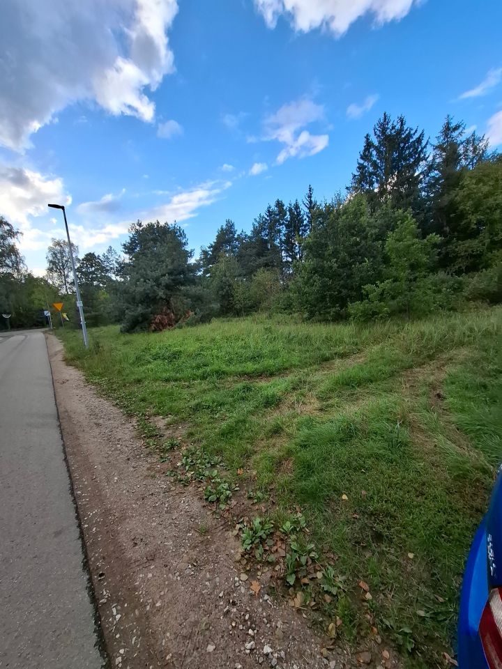 Działka Sikory, Janiny