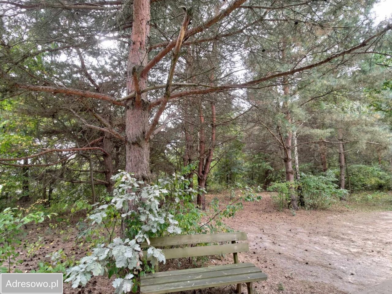 Działka budowlana Strzeniówka, ul. Jeżynowa. Zdjęcie 6