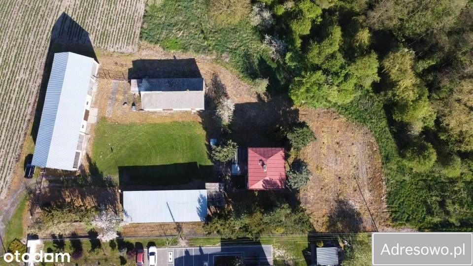 Działka budowlana Kijany. Zdjęcie 4