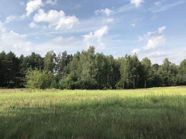 Działka rolna Aleksandria. Zdjęcie 1