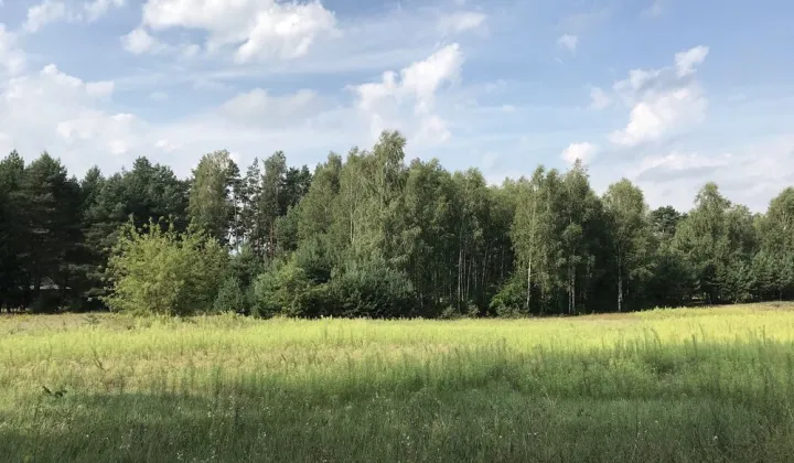 Działka rolna Aleksandria