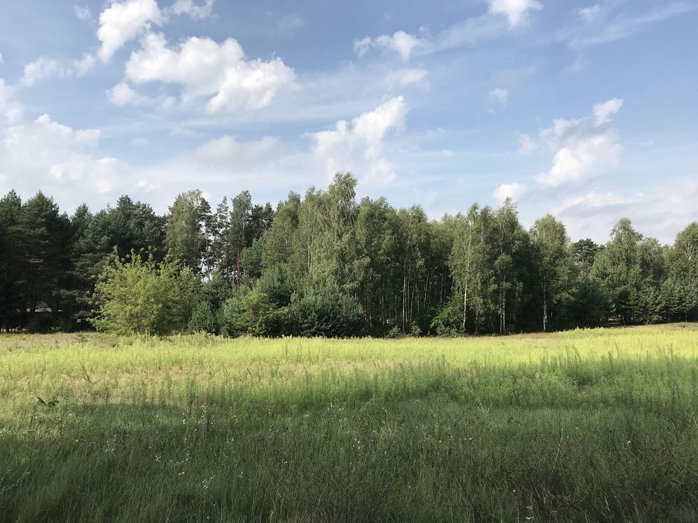 Działka rolna Aleksandria