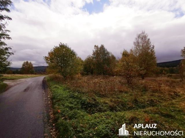Działka rolna Antoniów. Zdjęcie 4