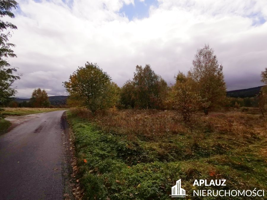 Działka rolna Antoniów. Zdjęcie 4