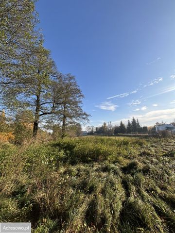 Działka budowlana Trzcianka. Zdjęcie 1