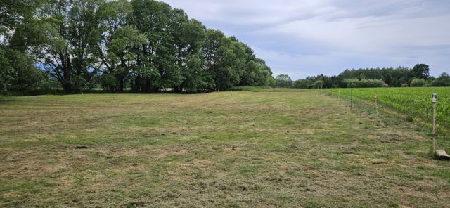 Działka siedliskowa Komarno. Zdjęcie 3