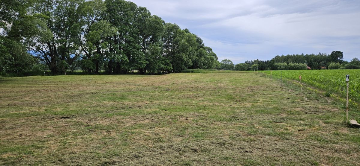 Działka siedliskowa Komarno. Zdjęcie 3