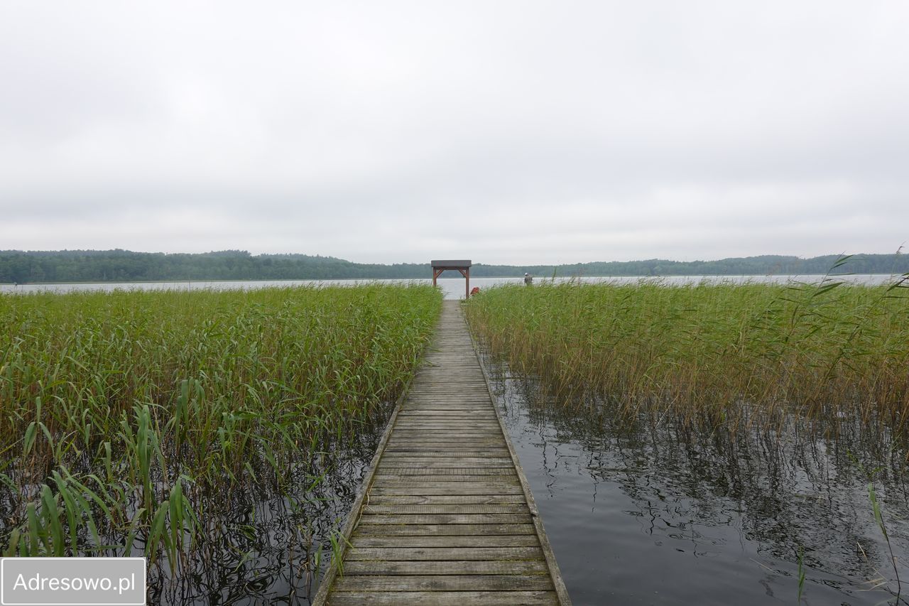 Działka budowlana Starbienino. Zdjęcie 3