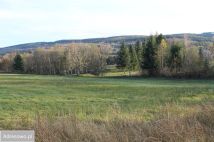 Działka rolna Antoniów. Zdjęcie 2