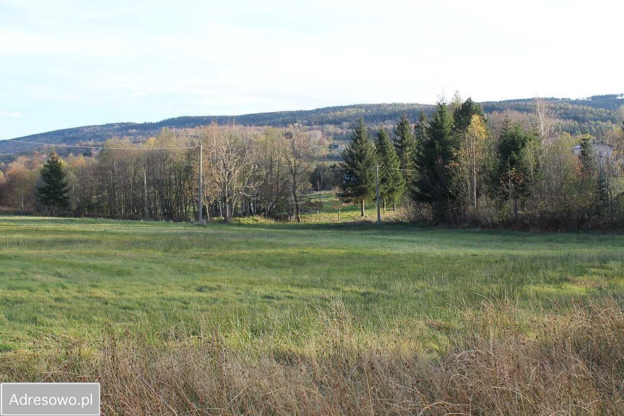 Działka rolna Antoniów. Zdjęcie 3