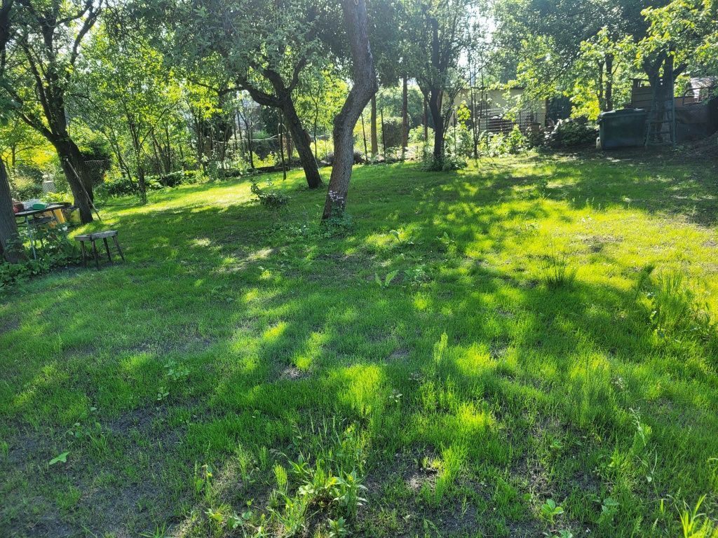 Działka rekreacyjna Chorzów, ul. Siemianowicka