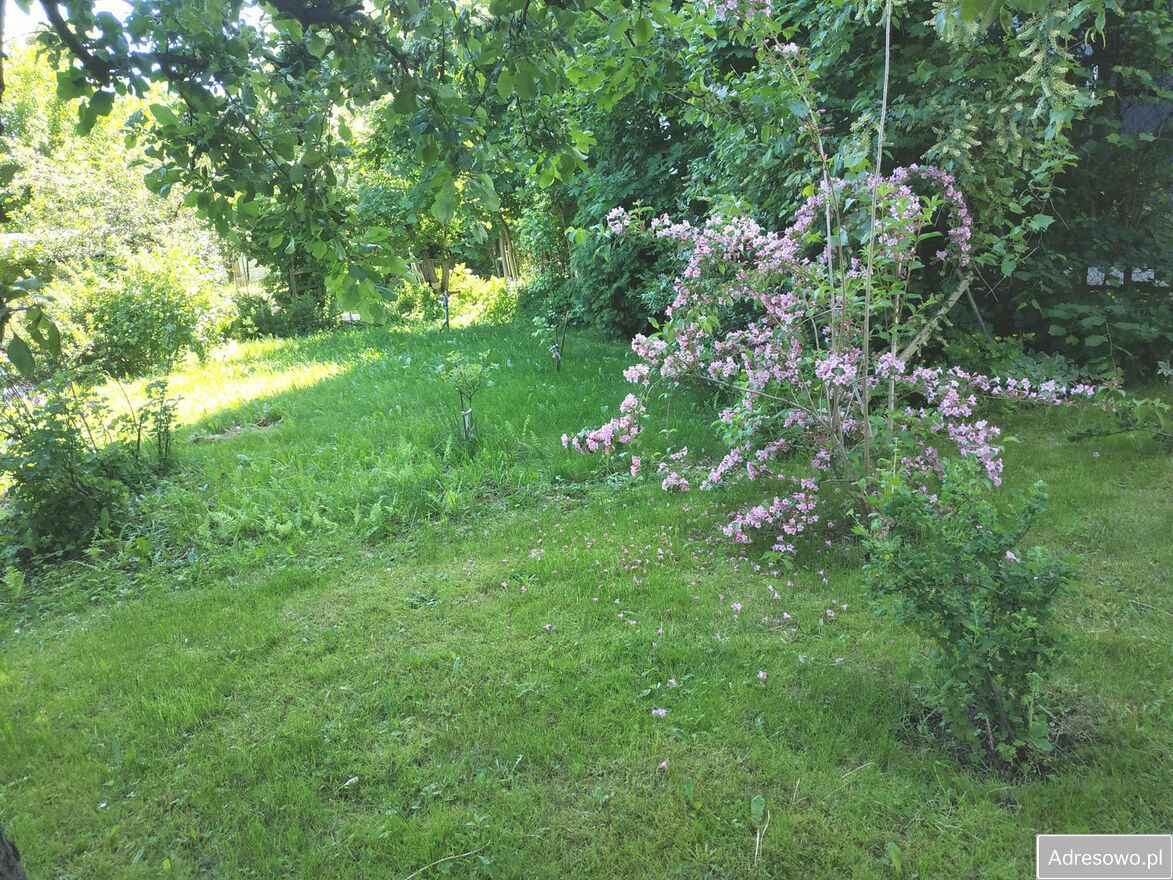 Działka rod Warszawa Mokotów, al. Niepodległości. Zdjęcie 7