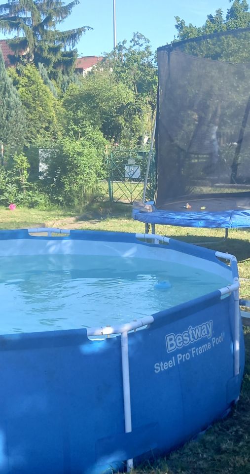 Działka rod Legnica Piekary Wielkie, ul. Spokojna. Zdjęcie 2