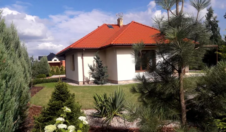 dom wolnostojący, 4 pokoje Borki, ul. Toruńska