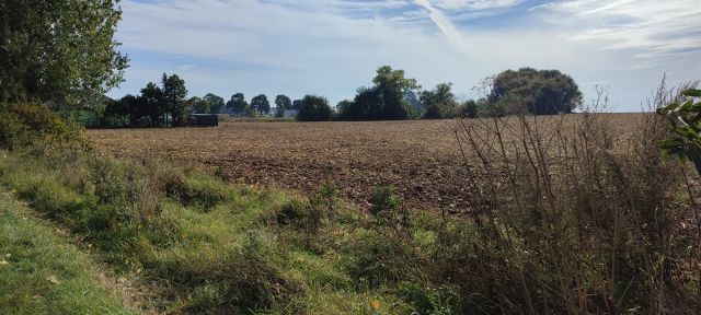 Działka budowlana Piotrków Borowski. Zdjęcie 1