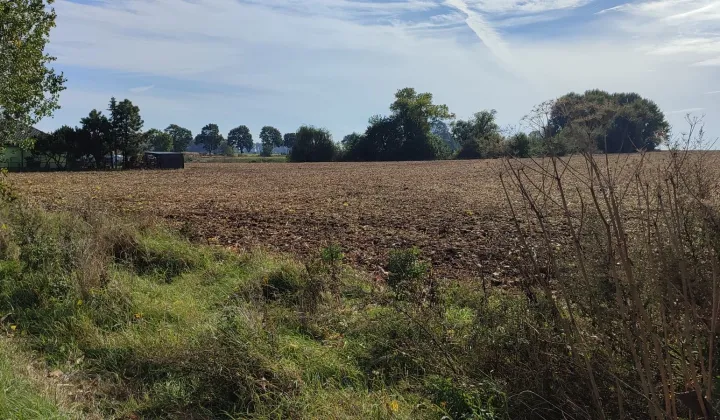 Działka budowlana Piotrków Borowski