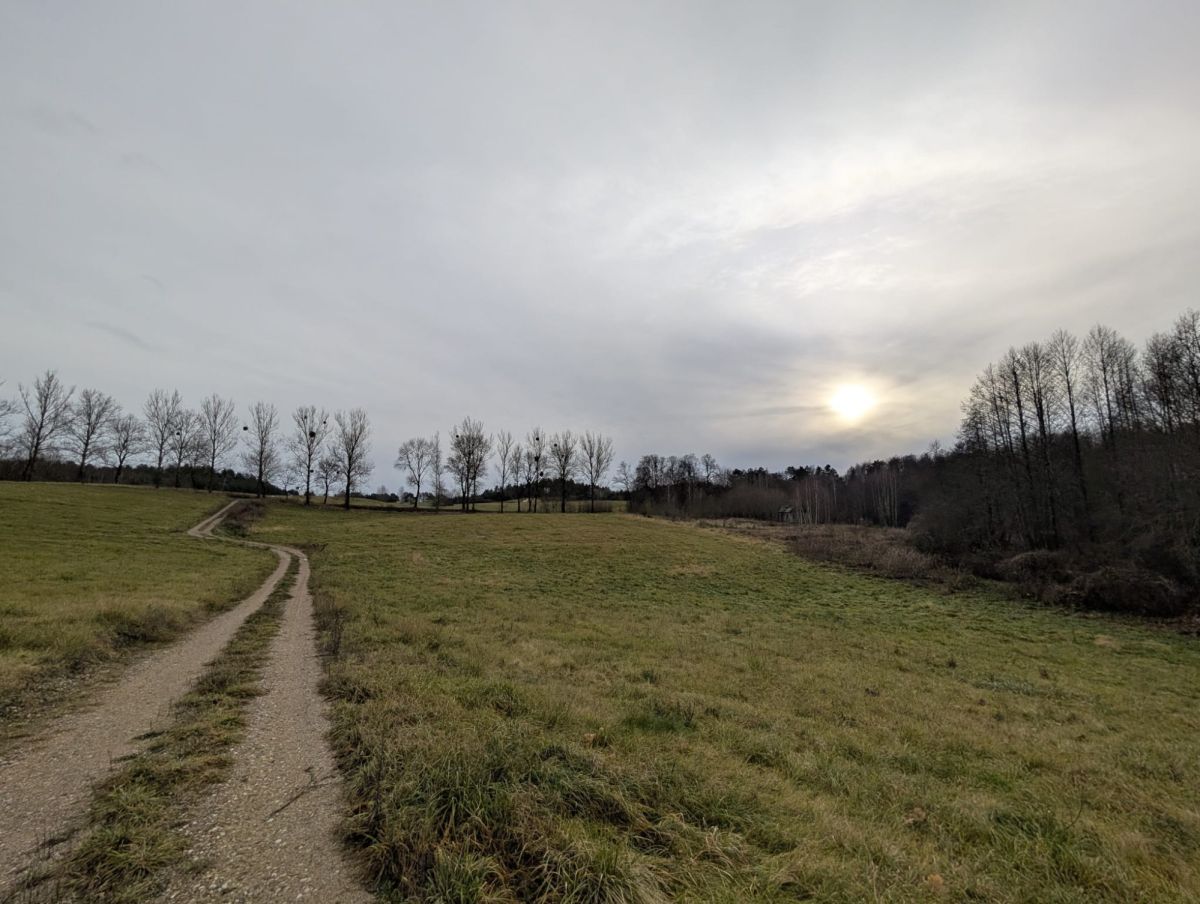 Działka rekreacyjna Rogale. Zdjęcie 3