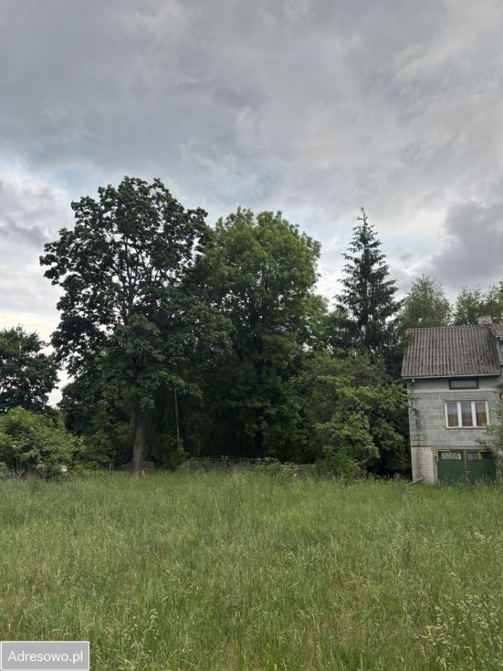 Działka rolna Wola Polewna. Zdjęcie 6